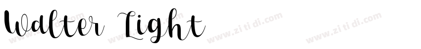 Walter Light字体转换
